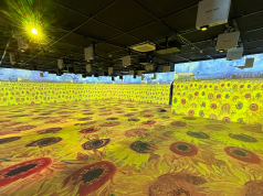 VIOSO y el Videomapping: Transformando el Arte de Van Gogh