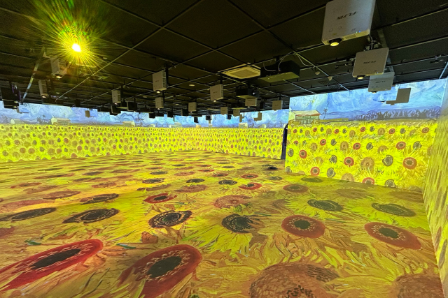 VIOSO y el Videomapping: Transformando el Arte de Van Gogh