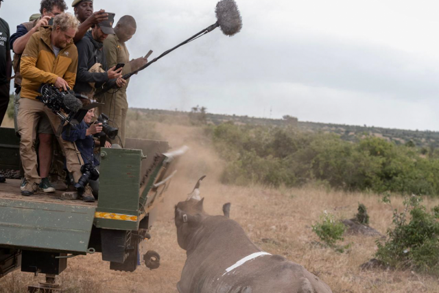 Sennheiser MKH 8000 captura el sonido real de la sabana en el documental Rhino Sennheiser MKH 8000 captura el sonido real de la sabana en el documental Rhino
